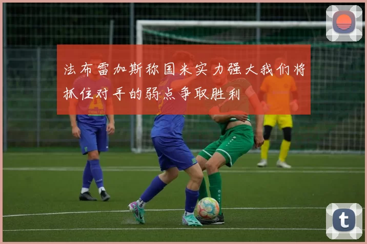 法布雷加斯称国米实力强大我们将抓住对手的弱点争取胜利