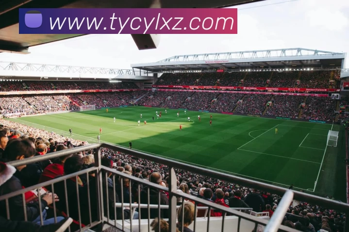 太阳城娱乐App服务体系